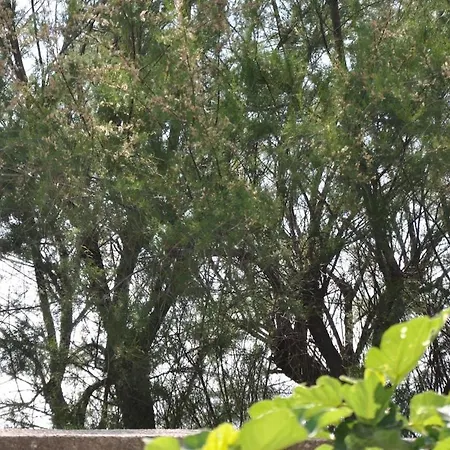 Incatevole Sul Mare * Belmonte Calabro