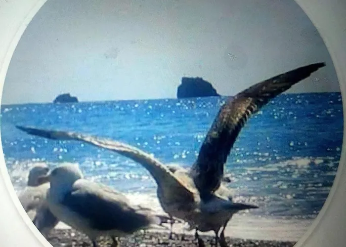 Incatevole Sul Mare דירה