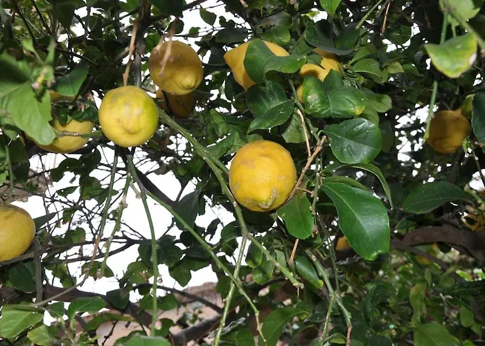 Incatevole Sul Mare דירה *